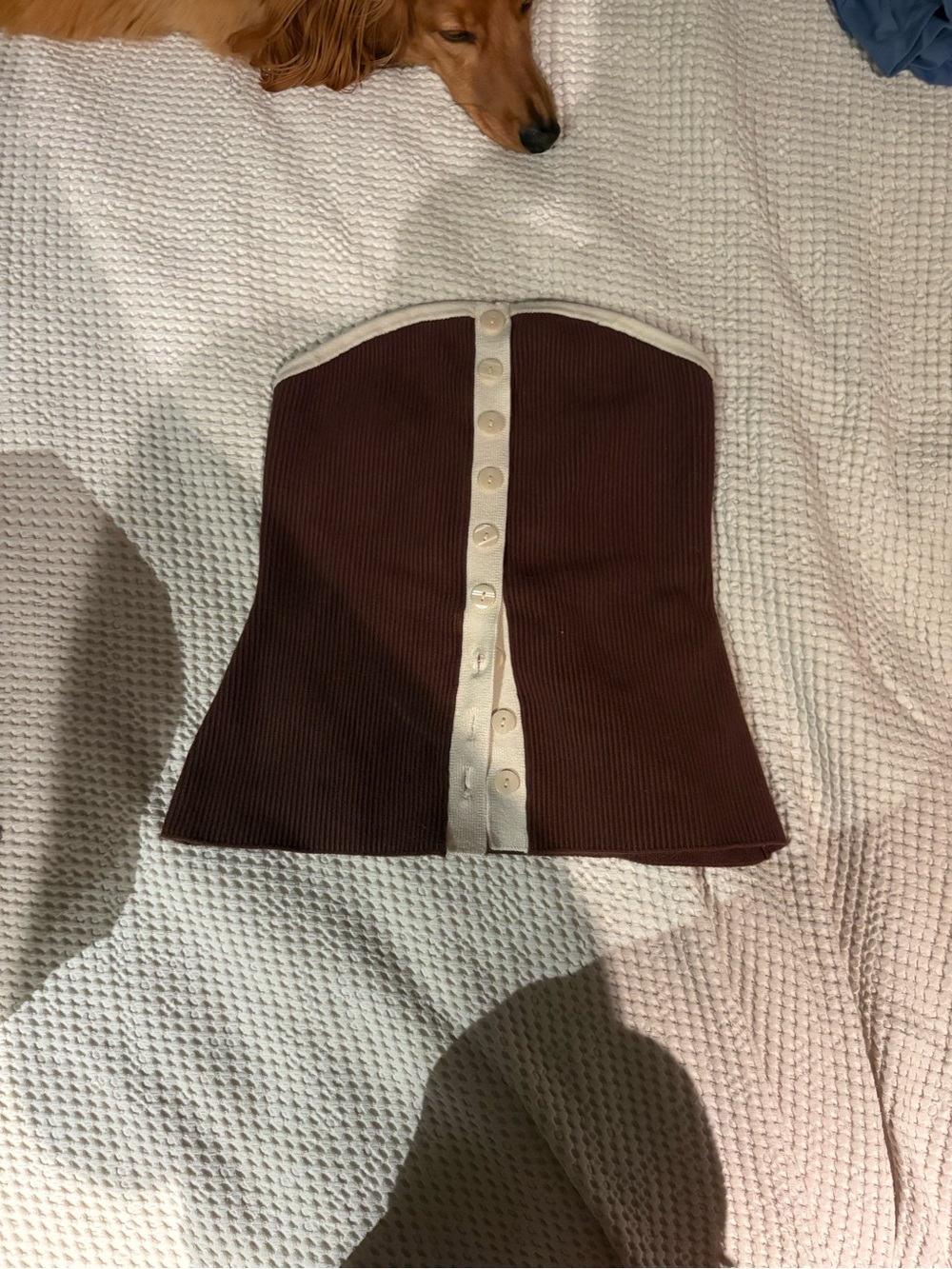 Abercrombie Strapless Knit Button-Front Tube Top in Brown with Cream Trim
